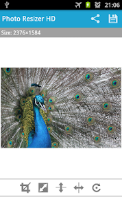 Photo selection for resizing