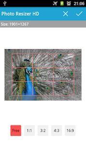Resize settings